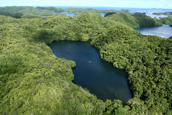 Озеро Медуз, Палау 4